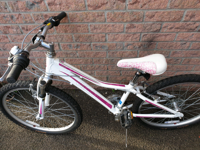 giant liv 24 inch